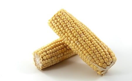 2 whole corns on the cob